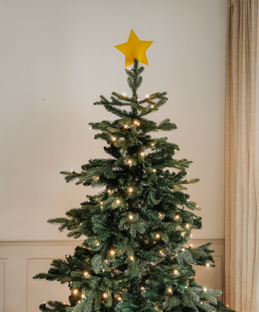 Tannenbaumspitze Stern